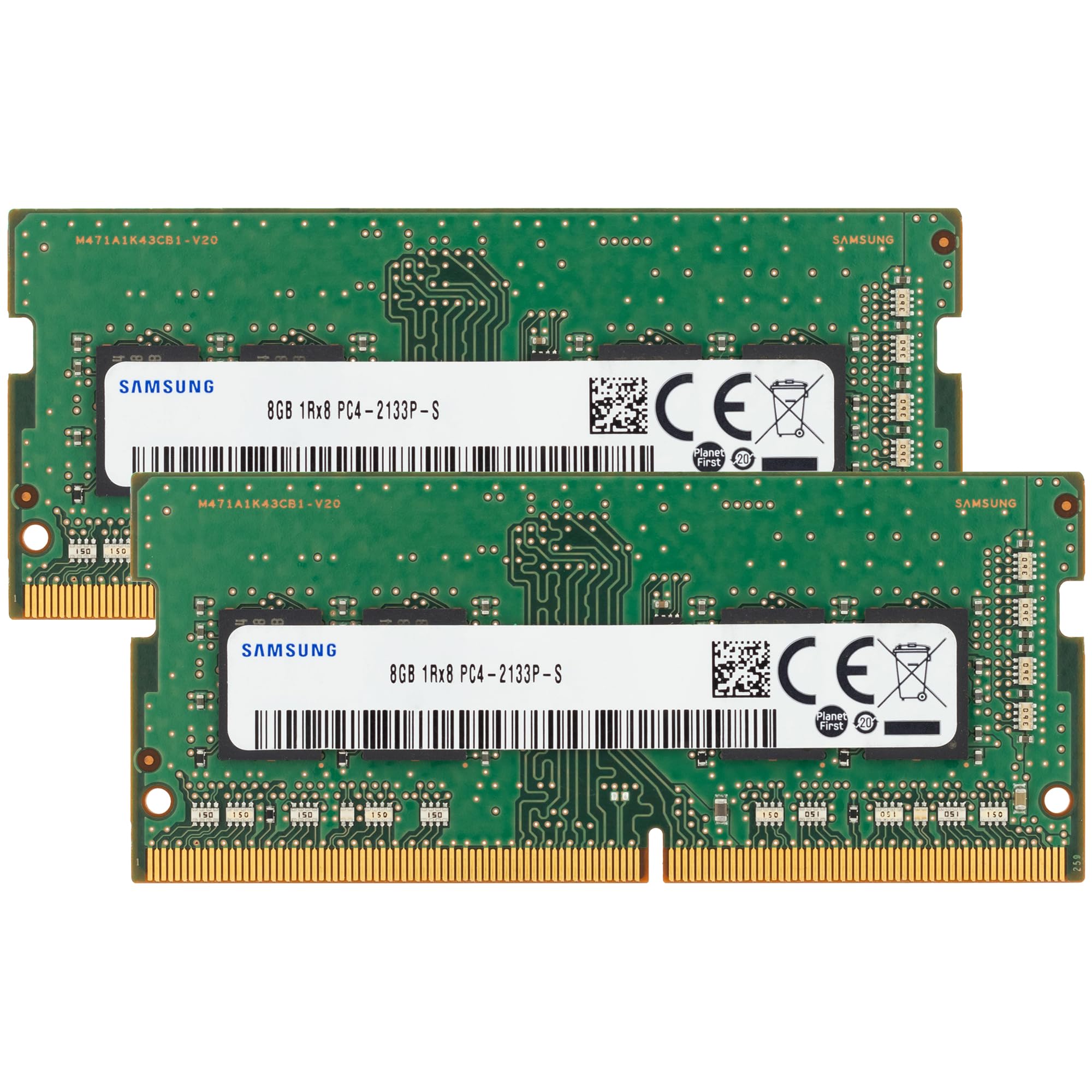 81BsE+URl3L.jpg